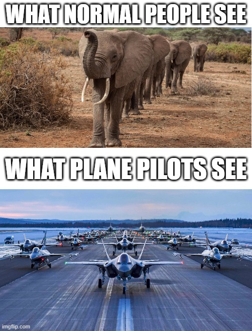 only people that know planes will get this | WHAT NORMAL PEOPLE SEE; WHAT PLANE PILOTS SEE | image tagged in elephant,plane,elephant walk | made w/ Imgflip meme maker