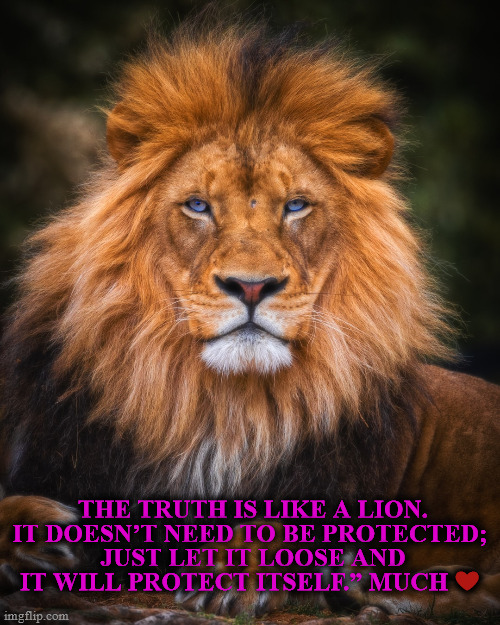 TRUTH, PROTECTION | THE TRUTH IS LIKE A LION. IT DOESN’T NEED TO BE PROTECTED; 
JUST LET IT LOOSE AND IT WILL PROTECT ITSELF.” MUCH ❤️  | image tagged in true love | made w/ Imgflip meme maker