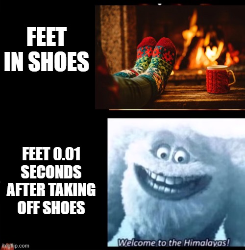 My feet in winter be like... | FEET IN SHOES; FEET 0.01 SECONDS AFTER TAKING OFF SHOES | image tagged in hot and cold,feet,winter,shoes | made w/ Imgflip meme maker