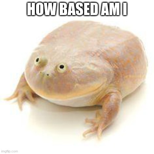 Wednesday Frog Blank | HOW BASED AM I | made w/ Imgflip meme maker
