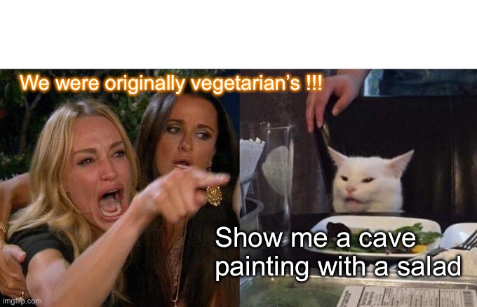 Woman Yelling At Cat | We were originally vegetarian’s !!! Show me a cave painting with a salad | image tagged in memes,woman yelling at cat | made w/ Imgflip meme maker