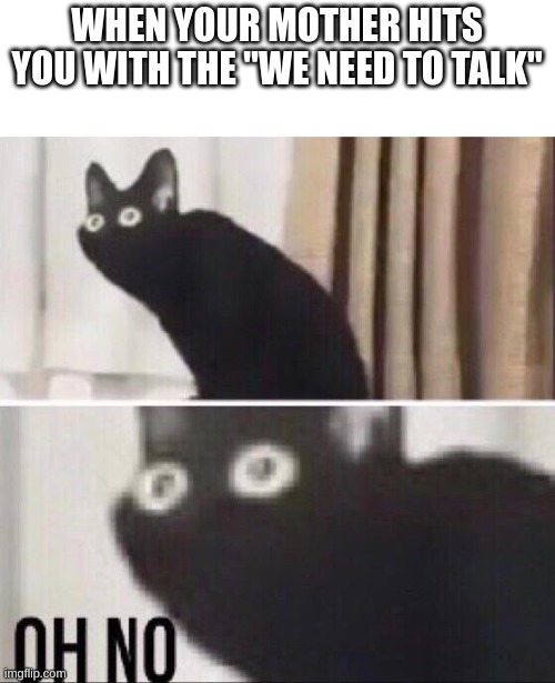 (insert mini heart attack here) | WHEN YOUR MOTHER HITS YOU WITH THE "WE NEED TO TALK" | image tagged in oh no cat | made w/ Imgflip meme maker