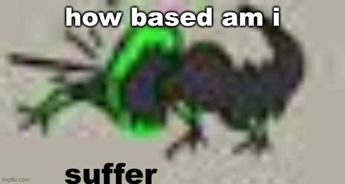 suffer | how based am i | image tagged in suffer | made w/ Imgflip meme maker