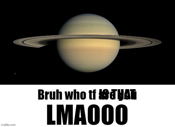 Bruh who tf are you LMAOOO | IS THAT | image tagged in bruh who tf are you lmaooo | made w/ Imgflip meme maker