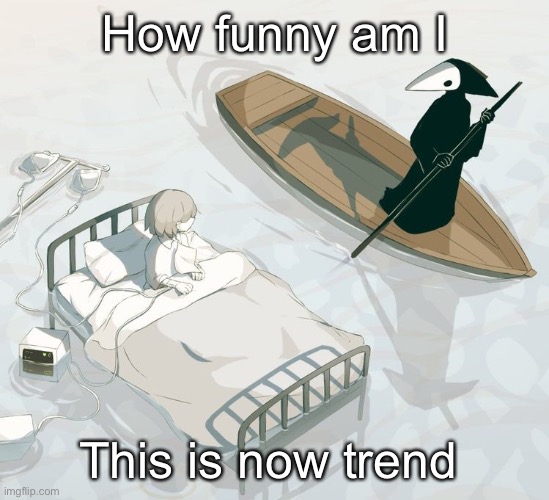 Avogado6 | How funny am I; This is now trend | image tagged in avogado6 | made w/ Imgflip meme maker