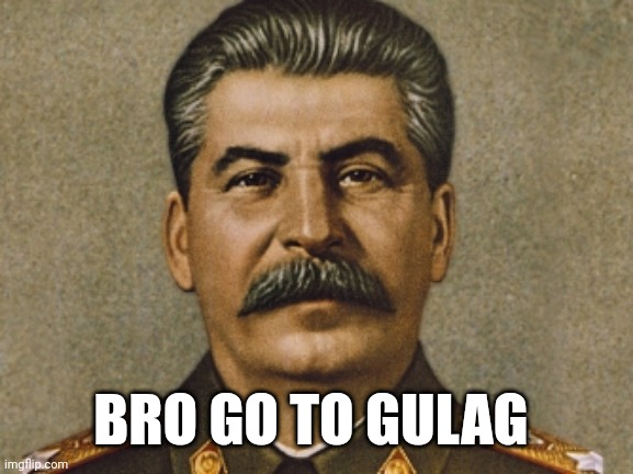 BRO | BRO GO TO GULAG | image tagged in josef stalin,joseph stalin,stalin,bro | made w/ Imgflip meme maker