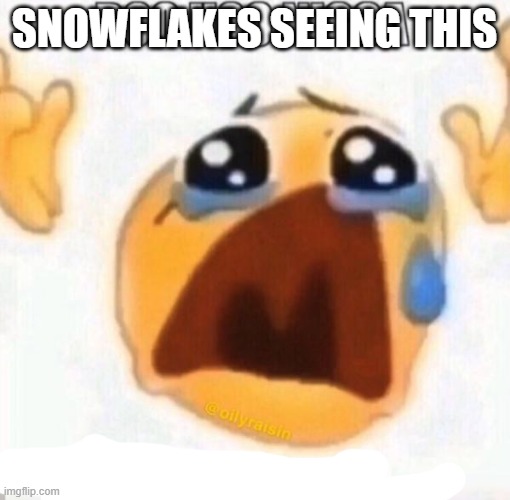 Boo Hoo Nibba | SNOWFLAKES SEEING THIS | image tagged in boo hoo nibba | made w/ Imgflip meme maker