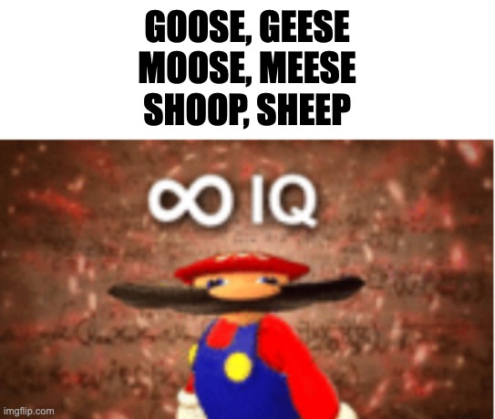 English | GOOSE, GEESE
MOOSE, MEESE
SHOOP, SHEEP | image tagged in infinite iq | made w/ Imgflip meme maker