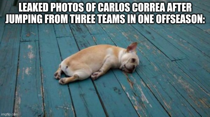 wherever he goes, we boo | LEAKED PHOTOS OF CARLOS CORREA AFTER JUMPING FROM THREE TEAMS IN ONE OFFSEASON: | image tagged in tired dog,baseball | made w/ Imgflip meme maker