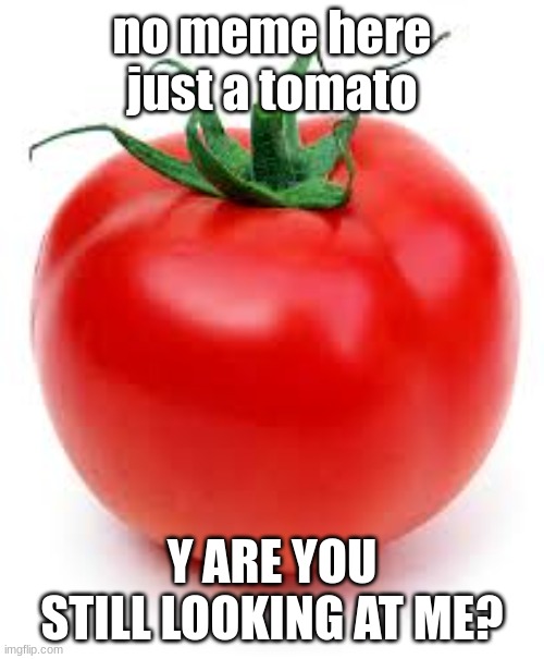 t o m a t o | no meme here just a tomato; Y ARE YOU STILL LOOKING AT ME? | image tagged in tomato,fruit,meme,fun,funny | made w/ Imgflip meme maker