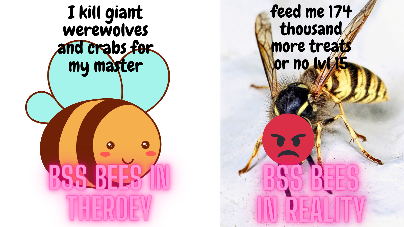 High Quality bss bees Blank Meme Template