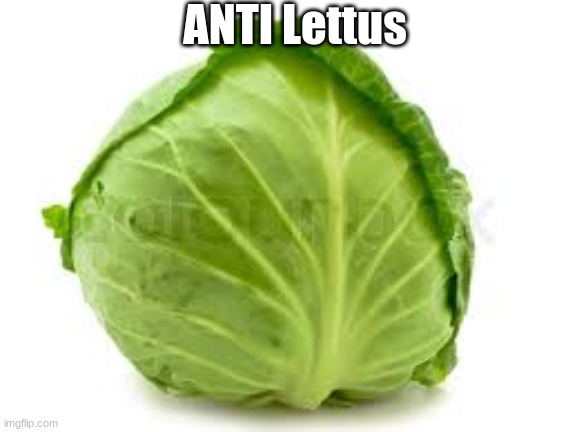 Everyone was posting lettus and going viral BRUH but I need the points. | ANTI Lettus | image tagged in lettuce,everyone,you're doing it wrong | made w/ Imgflip meme maker