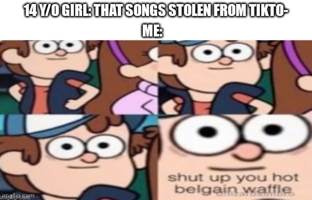 shut up you hot belgain waffle | 14 Y/O GIRL: THAT SONGS STOLEN FROM TIKTO-; ME: | image tagged in shut up you hot belgain waffle,memes,funny,tiktok | made w/ Imgflip meme maker