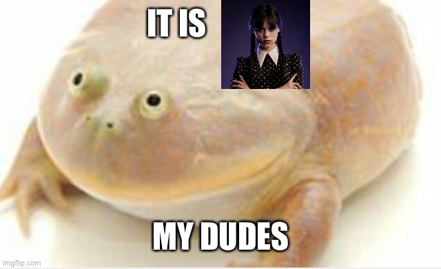 It's Wednesday my dudes | IT IS; MY DUDES | image tagged in it's wednesday my dudes | made w/ Imgflip meme maker