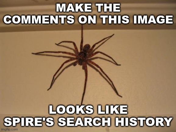 yes, I used an image of a Spider | MAKE THE COMMENTS ON THIS IMAGE; LOOKS LIKE SPIRE'S SEARCH HISTORY | image tagged in scumbag spider | made w/ Imgflip meme maker