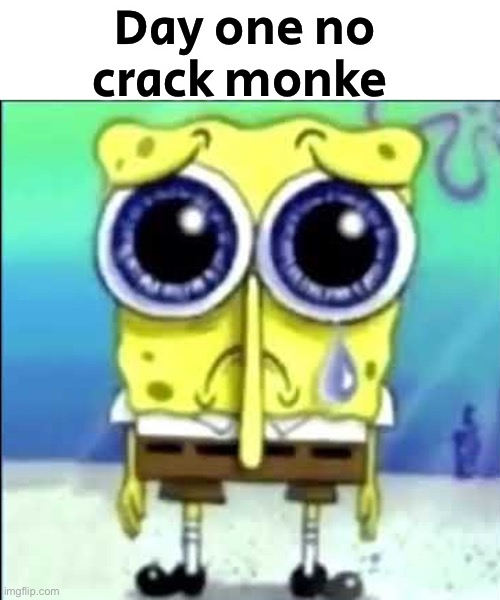 Rip kracc | Day one no crack monke | image tagged in sad spongebob,kracc bacc | made w/ Imgflip meme maker