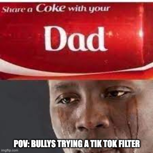 haha mere fatherless child | POV: BULLYS TRYING A TIK TOK FILTER | image tagged in fatherless,forever alone | made w/ Imgflip meme maker