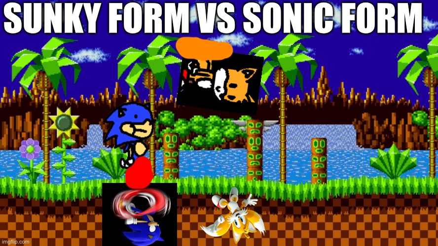 Which do y’all like most | SUNKY FORM VS SONIC FORM | image tagged in sonic vs sunky | made w/ Imgflip meme maker
