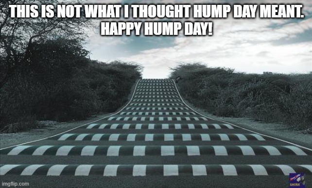 Speed Bumps Bumpy Road Ahead | THIS IS NOT WHAT I THOUGHT HUMP DAY MEANT.
HAPPY HUMP DAY! | image tagged in speed bumps bumpy road ahead | made w/ Imgflip meme maker