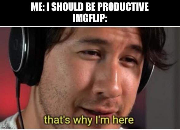 Still being productive! Just not on what the teacher wants | ME: I SHOULD BE PRODUCTIVE
IMGFLIP: | image tagged in that's why i'm here markiplier | made w/ Imgflip meme maker