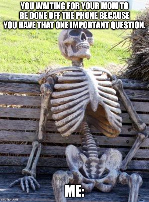 Relatable? | YOU WAITING FOR YOUR MOM TO BE DONE OFF THE PHONE BECAUSE YOU HAVE THAT ONE IMPORTANT QUESTION. ME: | image tagged in memes,waiting skeleton | made w/ Imgflip meme maker