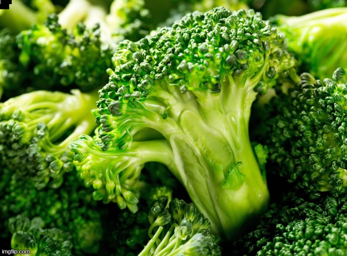 vegggggiebulls | image tagged in broccoli,random vegetable | made w/ Imgflip meme maker
