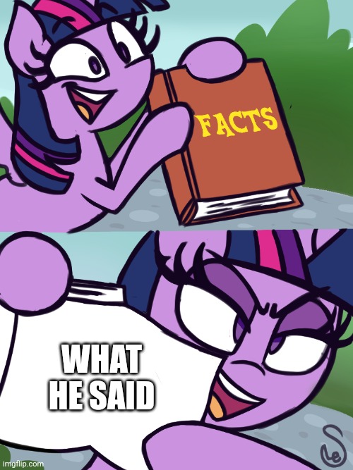 Twilight's Fact Book | WHAT HE SAID | image tagged in twilight's fact book | made w/ Imgflip meme maker