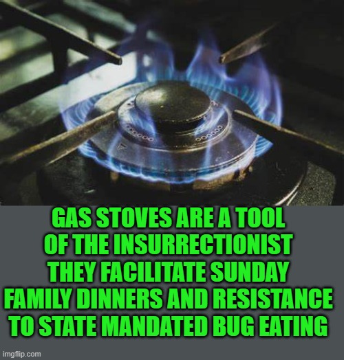 yep | GAS STOVES ARE A TOOL OF THE INSURRECTIONIST THEY FACILITATE SUNDAY FAMILY DINNERS AND RESISTANCE TO STATE MANDATED BUG EATING | image tagged in democrats | made w/ Imgflip meme maker