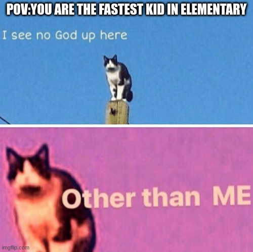 Sigh, if it was still true. | POV:YOU ARE THE FASTEST KID IN ELEMENTARY | image tagged in hail pole cat | made w/ Imgflip meme maker