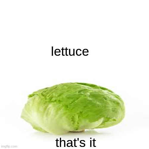 lettuce | lettuce; that's it | image tagged in memes | made w/ Imgflip meme maker