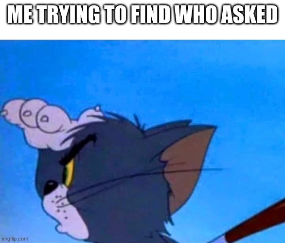hmmm | ME TRYING TO FIND WHO ASKED | image tagged in tom looking for something | made w/ Imgflip meme maker