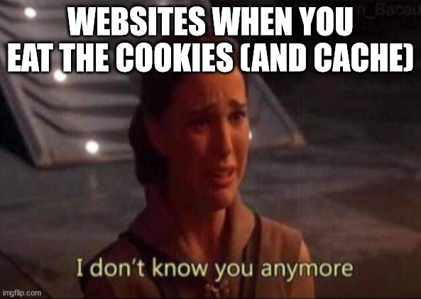 Websites when you eat the cookies and cache (they log you out) | WEBSITES WHEN YOU EAT THE COOKIES (AND CACHE) | image tagged in padme | made w/ Imgflip meme maker