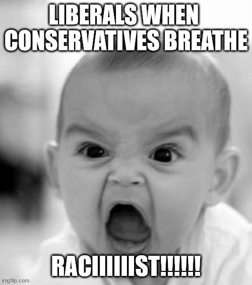 its true tho | LIBERALS WHEN  CONSERVATIVES BREATHE; RACIIIIIIST!!!!!! | image tagged in memes,angry baby | made w/ Imgflip meme maker