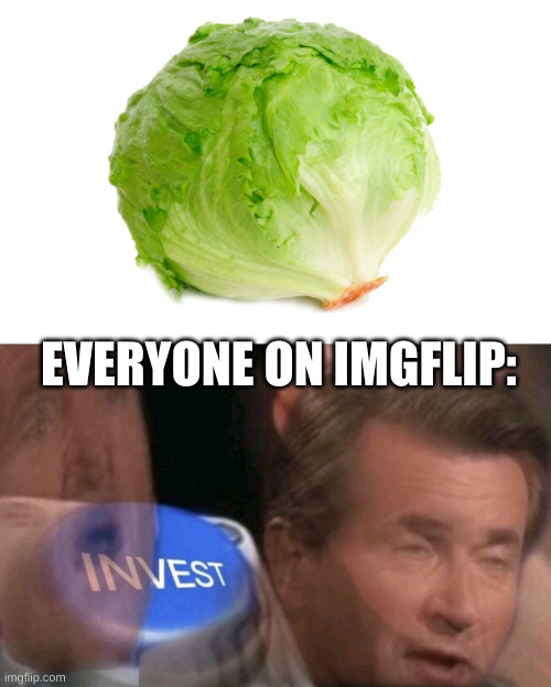 its true | EVERYONE ON IMGFLIP: | image tagged in invest,lettuce | made w/ Imgflip meme maker