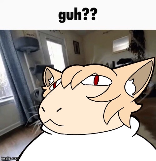 Guh?? | image tagged in guh | made w/ Imgflip meme maker