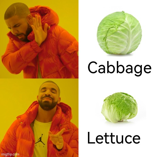 Why | Cabbage; Lettuce | image tagged in memes,drake hotline bling,lettuce,cabbage | made w/ Imgflip meme maker