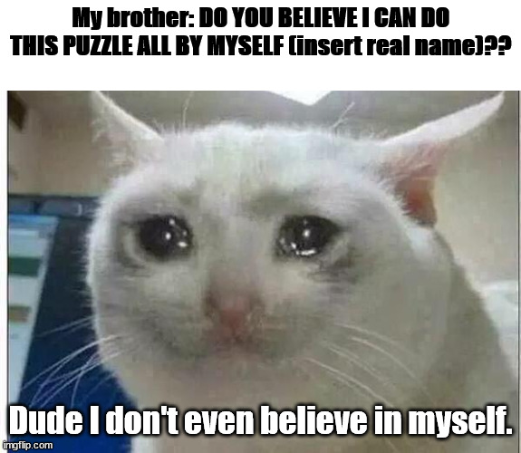 sad- but true- ;-; | My brother: DO YOU BELIEVE I CAN DO THIS PUZZLE ALL BY MYSELF (insert real name)?? Dude I don't even believe in myself. | image tagged in crying cat | made w/ Imgflip meme maker