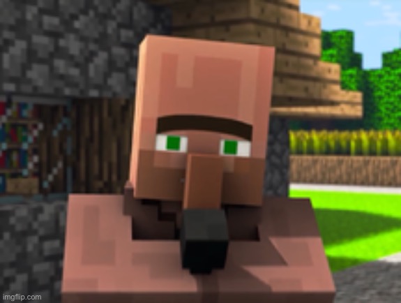 Villager News | image tagged in villager news | made w/ Imgflip meme maker