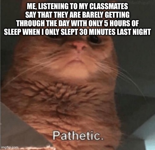 It’s like, be quiet already | ME, LISTENING TO MY CLASSMATES SAY THAT THEY ARE BARELY GETTING THROUGH THE DAY WITH ONLY 5 HOURS OF SLEEP WHEN I ONLY SLEPT 30 MINUTES LAST NIGHT | image tagged in pathetic cat | made w/ Imgflip meme maker