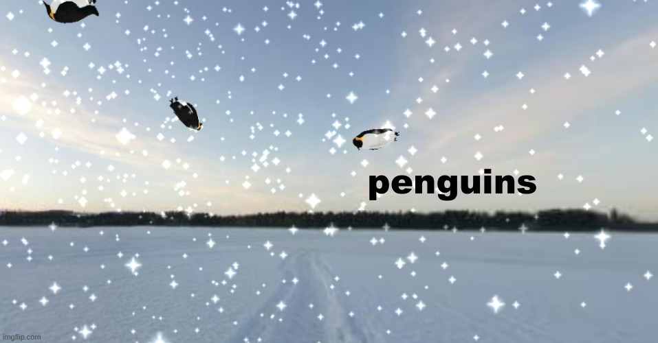 penguins | made w/ Imgflip meme maker