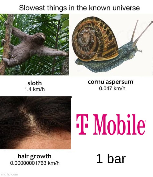 My friend had tmobile and hated it | 1 bar | image tagged in slowest things | made w/ Imgflip meme maker