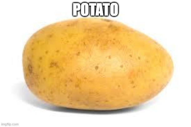 Potato | POTATO | image tagged in potato | made w/ Imgflip meme maker