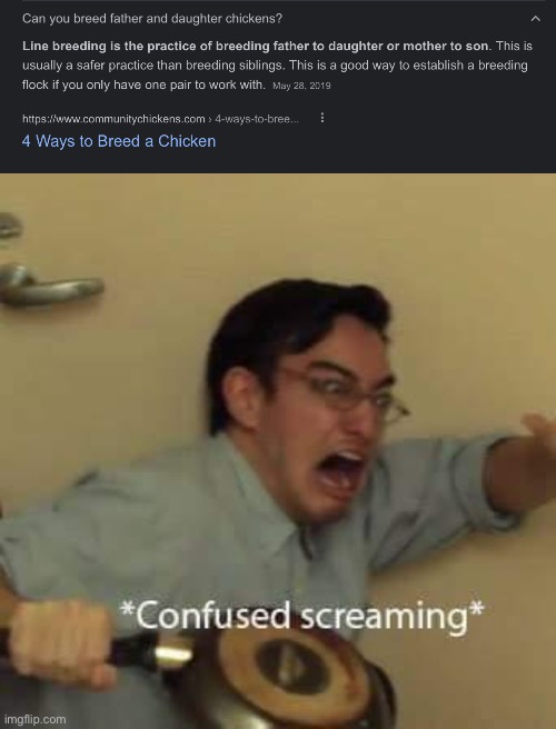 Sweet Home Alabama | image tagged in filthy frank confused scream,alabama,chickens | made w/ Imgflip meme maker