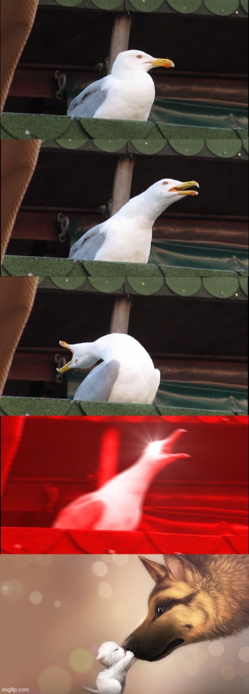 Image tagged in memes,inhaling seagull - Imgflip