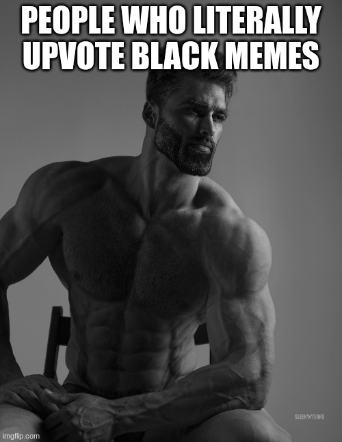 Giga Chad | PEOPLE WHO LITERALLY UPVOTE BLACK MEMES | image tagged in giga chad | made w/ Imgflip meme maker