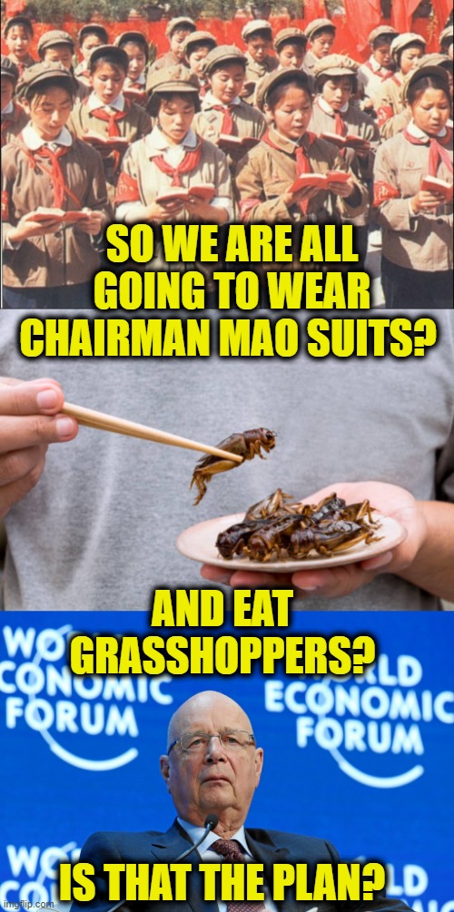 Global Vision |  SO WE ARE ALL GOING TO WEAR
CHAIRMAN MAO SUITS? AND EAT GRASSHOPPERS? IS THAT THE PLAN? | image tagged in globalism | made w/ Imgflip meme maker
