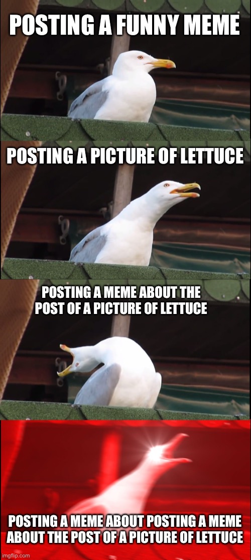 I have no idea what is happening | POSTING A FUNNY MEME; POSTING A PICTURE OF LETTUCE; POSTING A MEME ABOUT THE POST OF A PICTURE OF LETTUCE; POSTING A MEME ABOUT POSTING A MEME ABOUT THE POST OF A PICTURE OF LETTUCE | image tagged in memes,inhaling seagull | made w/ Imgflip meme maker