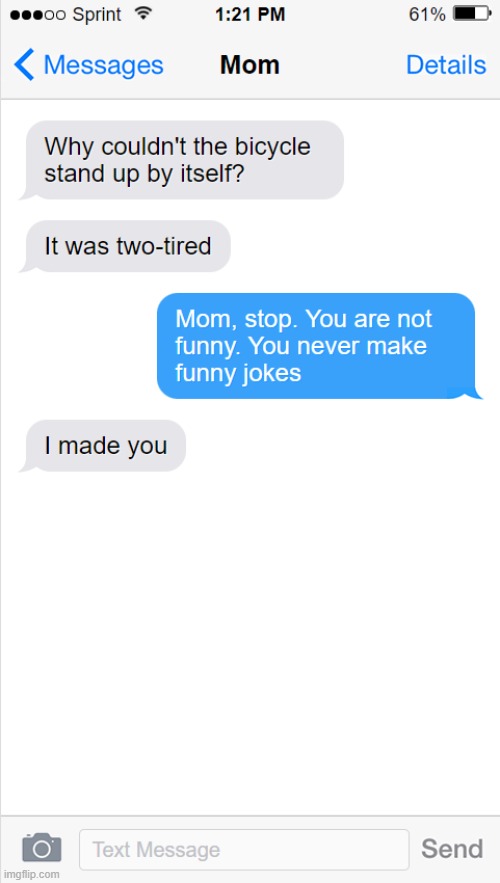 Joke | image tagged in mom,text,insult | made w/ Imgflip meme maker
