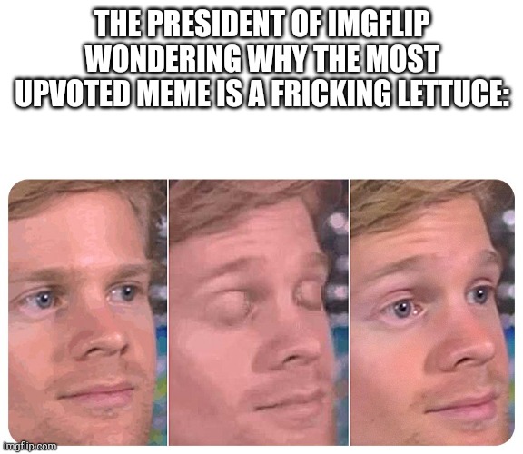 It's just a vegetable | THE PRESIDENT OF IMGFLIP WONDERING WHY THE MOST UPVOTED MEME IS A FRICKING LETTUCE: | image tagged in memes,funny,funny memes,meme,dank memes,imgflip | made w/ Imgflip meme maker