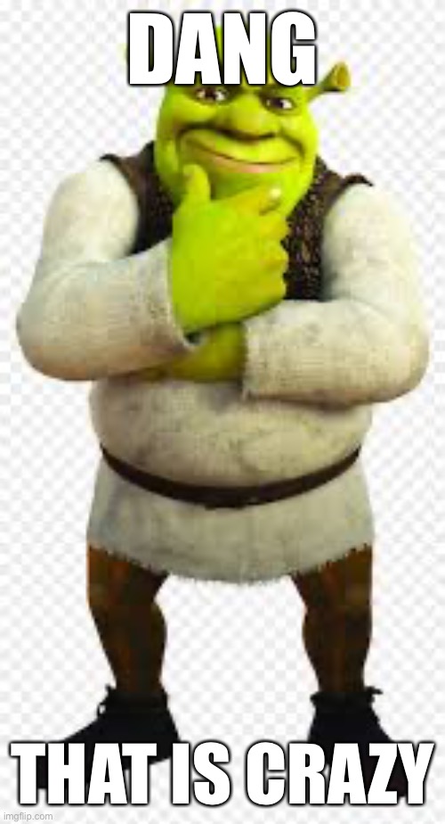 Dang that is crazy | DANG; THAT IS CRAZY | image tagged in shrek fake transparent | made w/ Imgflip meme maker